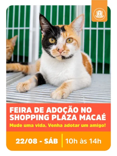 Feira de adoção em Macaé no Shopping Plaza neste sábado