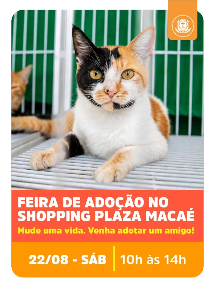 Feira de Adoção Animal em Macaé neste sábado, 22 de agosto, das 10h às 14h, no Shopping Plaza Macaé. Adote cães, gatos e cavalos com responsabilidade.