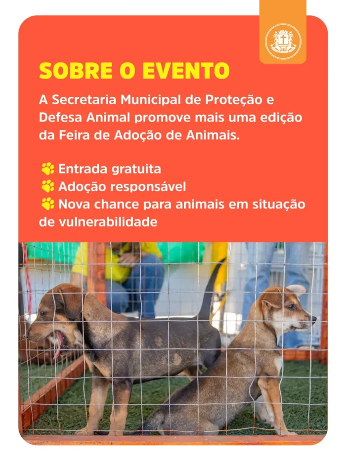 Feira de adoção em Macaé no Shopping Plaza neste sábado - imagem 2
