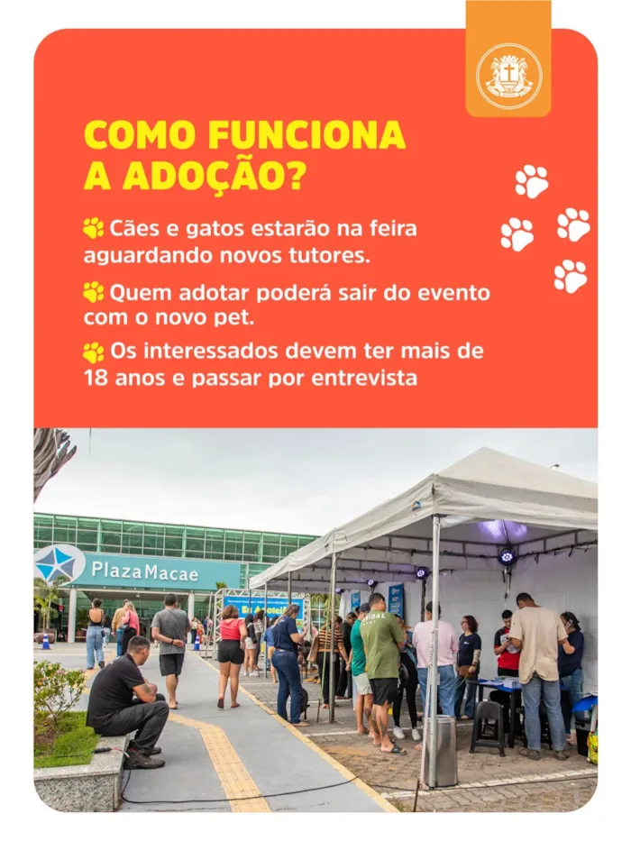 Feira de adoção em Macaé no Shopping Plaza neste sábado - imagem 3