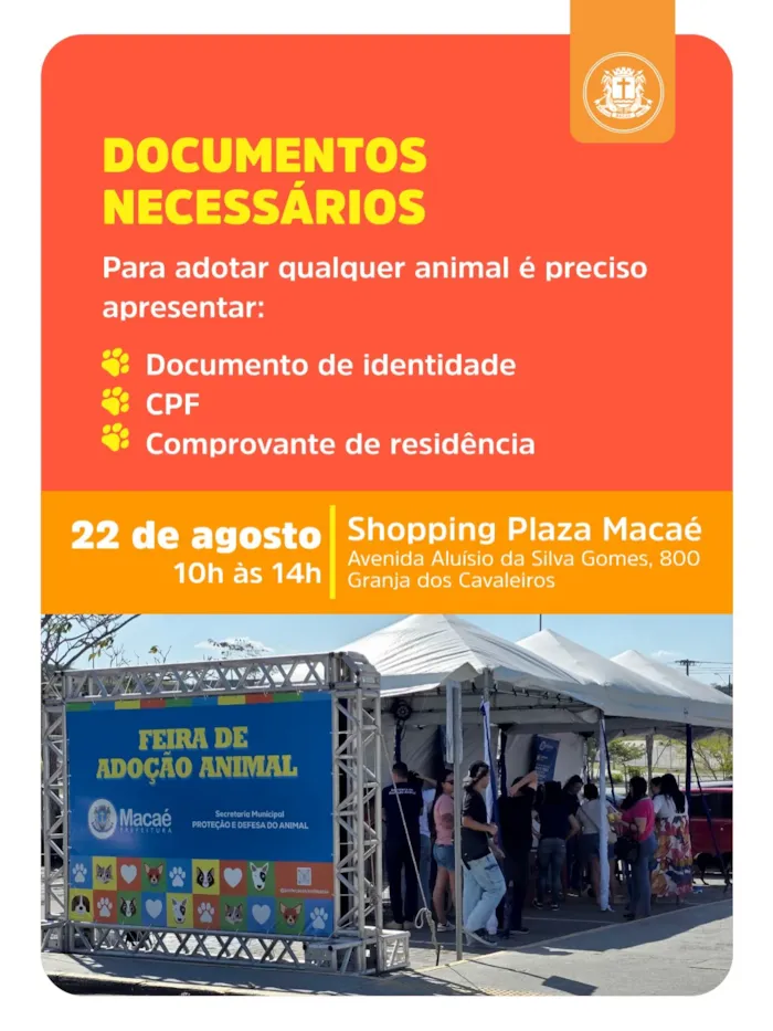 Feira de adoção em Macaé no Shopping Plaza neste sábado - imagem 5