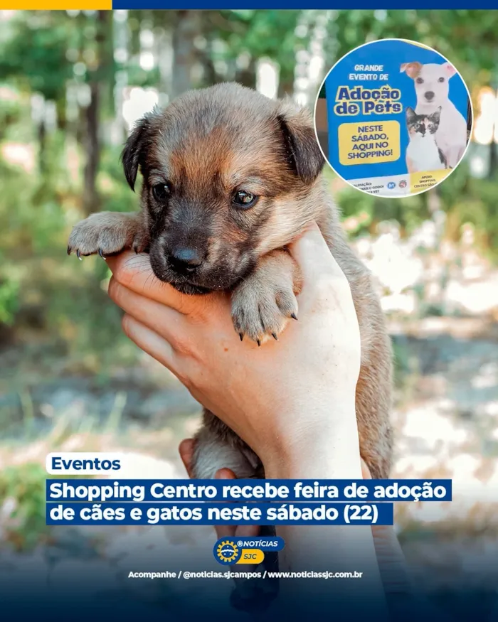 Feira de adoção de cães e gatos em São José dos Campos no Shopping Centro São José, neste sábado, 22 de agosto, das 11h às 16h. Adote um amigo!