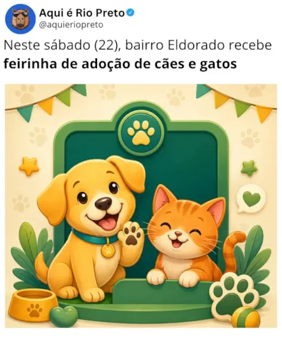Feira de adoção de cães e gatos em São José do Rio Preto