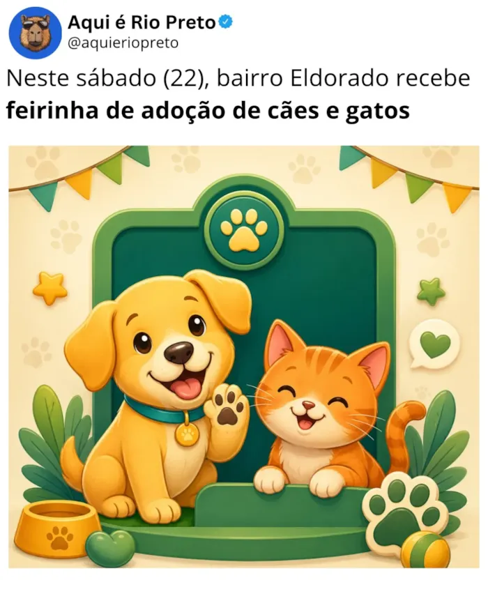 Feira de adoção em São José do Rio Preto acontece em 22 de agosto, das 9h às 12h, com cães, gatos, castração e microchipagem.