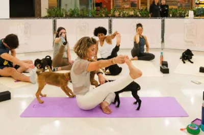 Evento de adoção no Shopping Market Place em São Paulo