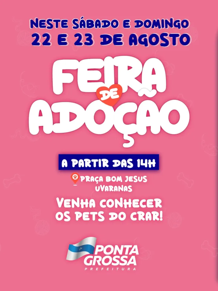 Feira de adoção em Ponta Grossa ocorre em 22 e 23 de agosto, das 14h às 17h, na Praça Bom Jesus, com cães à espera de um lar.
