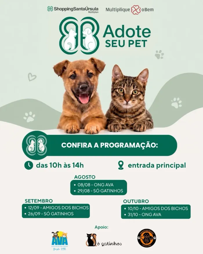 Feira de adoção no ShoppingSantaÚrsula em Ribeirão Preto - imagem 6