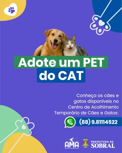Adote um Pet do CAT em Sobral: Feira de Adoção Especial