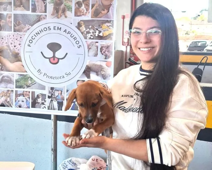 Feiras de adoção de cães e gatos em Canoas, Novo Hamburgo e Porto Alegre ocorrem em 22 de agosto. Saiba mais sobre a campanha e como participar.