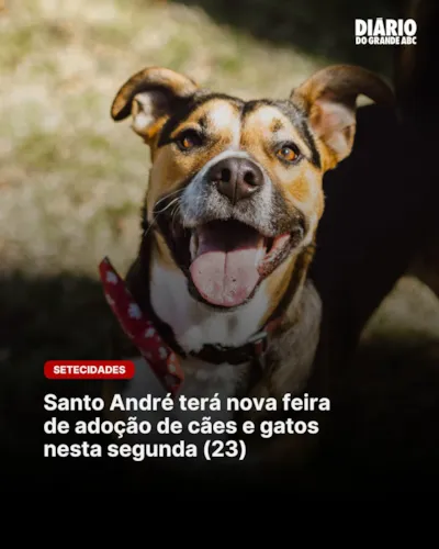 Feira de adoção em Santo André nesta segunda-feira