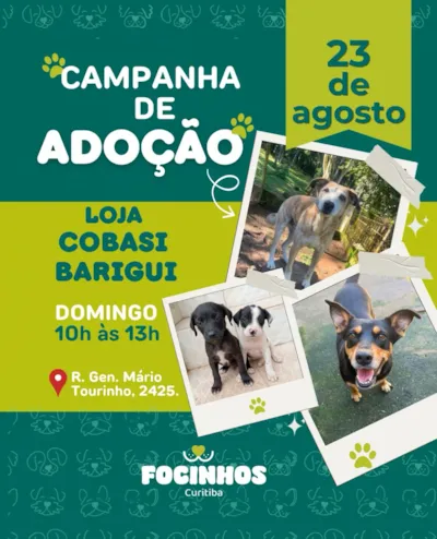 Campanha de Adoção em Curitiba: Loja Cobasi Barigui