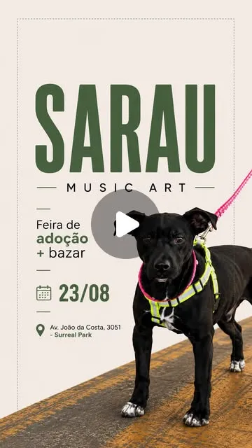Feira de adoção em Camboriú no Sarau Music Art