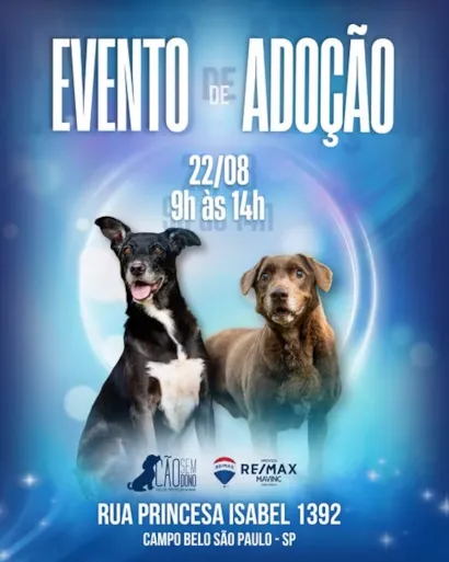 Evento de adoção de cães no Campo Belo, São Paulo