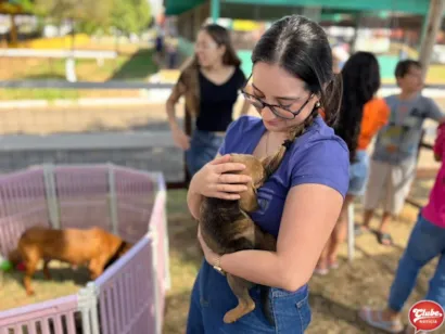 Feira de adoção em Patos de Minas neste domingo