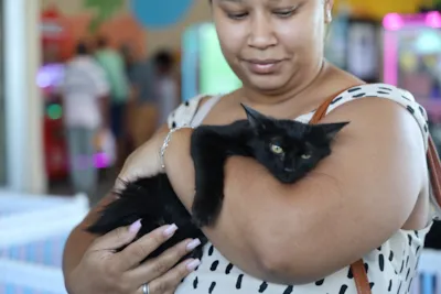 Adoção em Aparecida de Goiânia: Projeto 'Deu Match Com Meu Pet' completa 1 ano