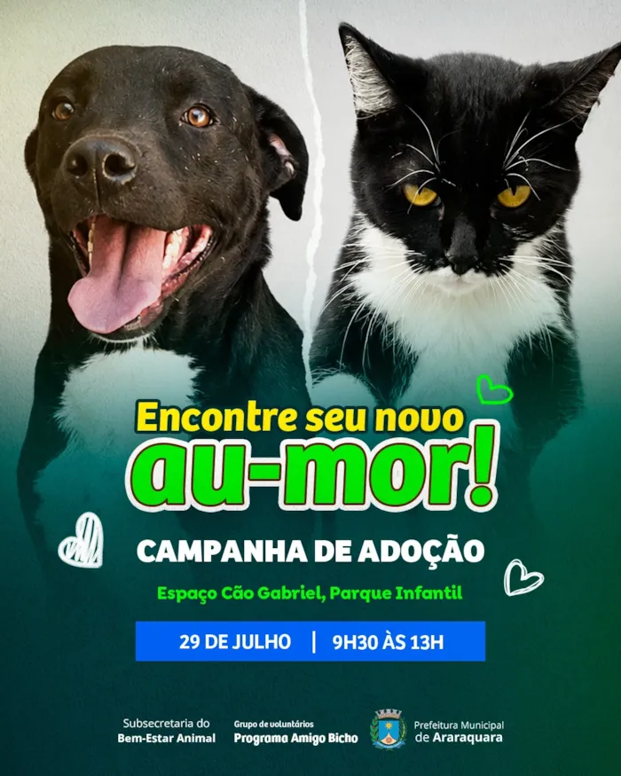 Campanha de adoção em Araraquara acontece em 29 de agosto, das 9h30 às 13h, no Parque Infantil, com cães e gatos à espera de um lar.