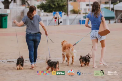 Feira de adoção responsável de cães e gatos em Natal