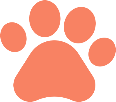 Feira de adoção de cães e gatos acontece em Campinas