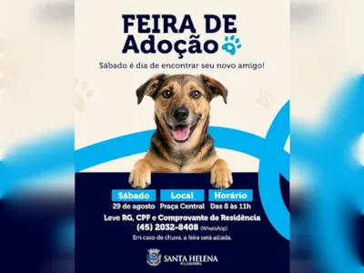Feira de Adoção em Santa Helena no dia 29 de agosto