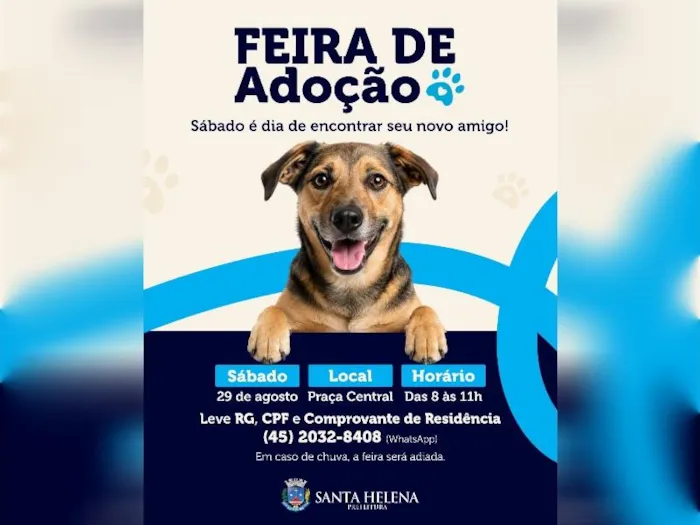Feira de Adoção em Santa Helena no dia 29 de agosto, das 8h às 11h, na Praça Central. Adote um amigo e mude uma vida!
