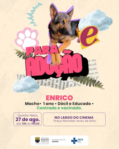 Feira de adoção em Ouro Preto: Para Meu Cão