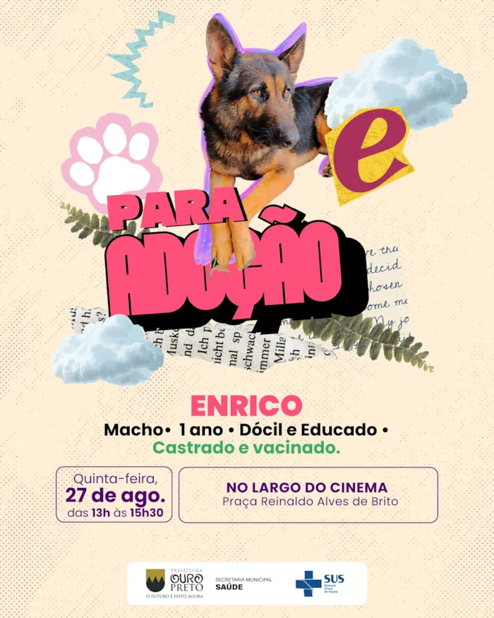 Feira de adoção em Ouro Preto acontece em 27 de agosto, das 13h às 15h30, no Largo do Cinema, com cães castrados e vacinados.