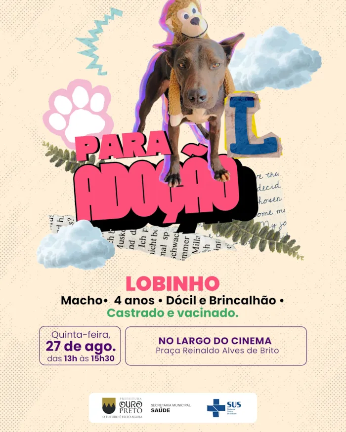 Feira de adoção em Ouro Preto: Para Meu Cão - imagem 2