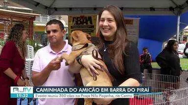 Campanha de adoção em Barra do Piraí acontece no domingo, 30 de agosto, com cães, vacinação gratuita e desfile de fantasias.