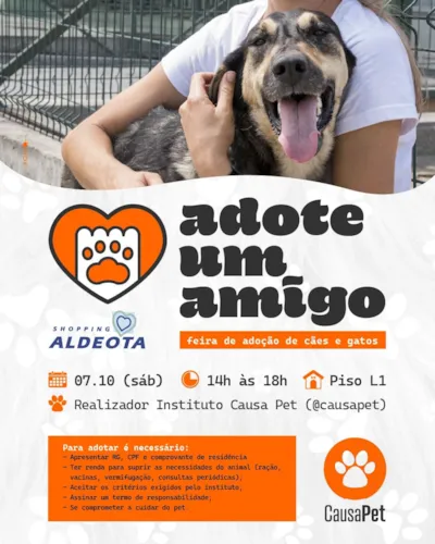 Feira de adoção em Fortaleza: Adote um Amigo