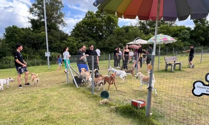 Feira de Adoção de Cães em Erechim neste sábado (29/08), no Parque Pet. Adote um amigo resgatado e dê um novo lar a um animal.