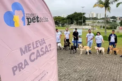 Feira de adoção em São José dos Campos leva pets para novos lares