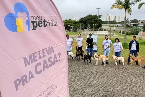 Feira de adoção itinerante em São José dos Campos no sábado, 29/08/2026. Das 10h às 14h na Praça Ulysses Guimarães. Vacinação e microchipagem gratuitas