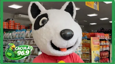 Feira de Adoção de Animais em Três Lagoas neste sábado