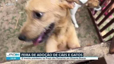 Feira de adoção de cães e gatos em Pimenta Bueno