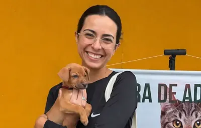 Feira de adoção de cães e gatos em Jaraguá do Sul