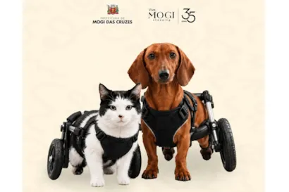 Feira de adoção especial para pets com deficiência em Mogi das Cruzes