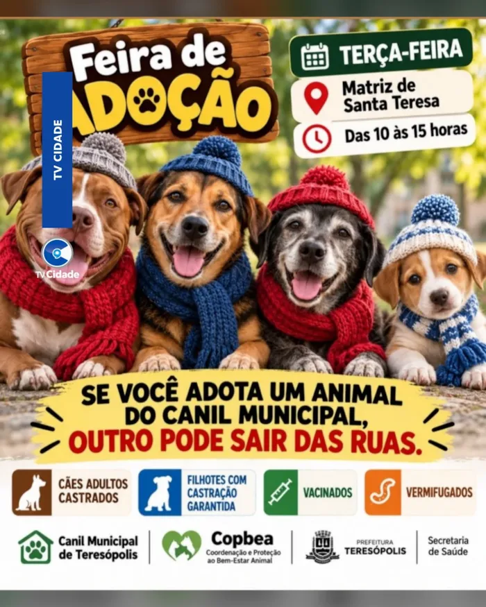 Feira de adoção em Teresópolis acontece nesta terça, das 10h às 15h, na Matriz de Santa Teresa, com cães vacinados e vermifugados.