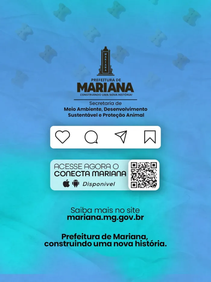 Evento de adoção em Mariana nesta sexta-feira - imagem 2