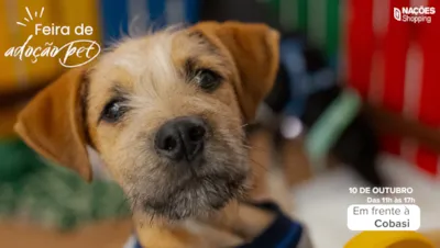 Feira de adoção pet em Criciúma no Nações Shopping