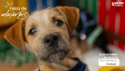 Feira de adoção pet em Criciúma no Nações Shopping