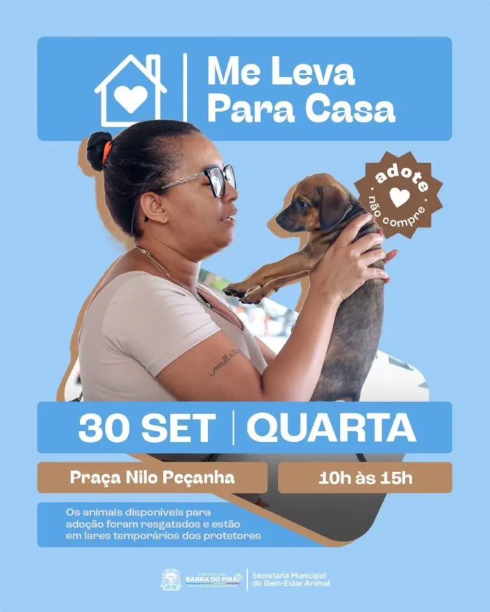 Cães e gatos aguardam adoção em Barra do Piraí em 30 de setembro, das 10h às 15h, na Praça Nilo Peçanha, com animais resgatados.