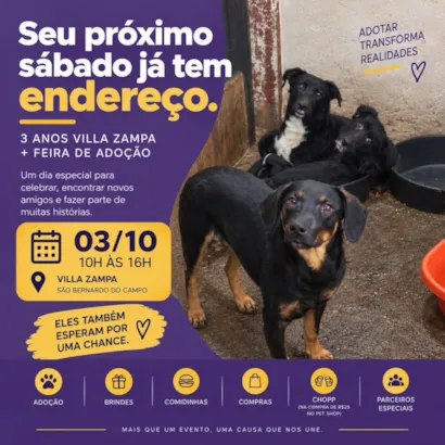 Feira de adoção em São Bernardo do Campo