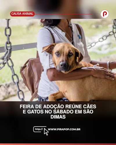 Feira de adoção em Piracicaba reúne cães e gatos