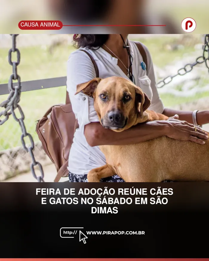 Feira de adoção em Piracicaba acontece sábado, 3 de outubro, das 10h às 14h, na Petz São Dimas, com cães e gatos à espera de uma família.