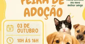 Feira reúne cães e gatos em Maceió no sábado, 3 de outubro, das 10h às 16h, com animais resgatados para adoção responsável.