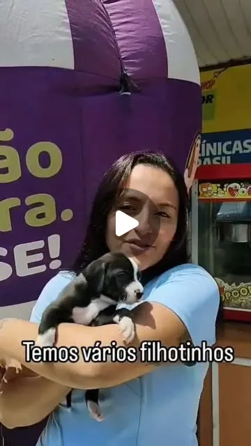Feira de adoção em Queimados reúne cães e gatos