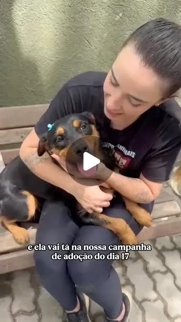 Campanha de adoção no BarraShopping, Rio de Janeiro