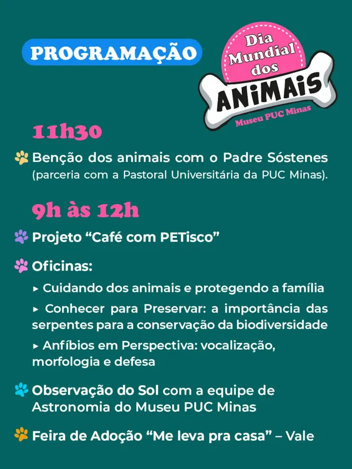 Feira de adoção em Belo Horizonte no Museu PUC Minas - imagem 2