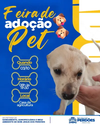 Feira de adoção de filhotes em Bom Jesus dos Perdões