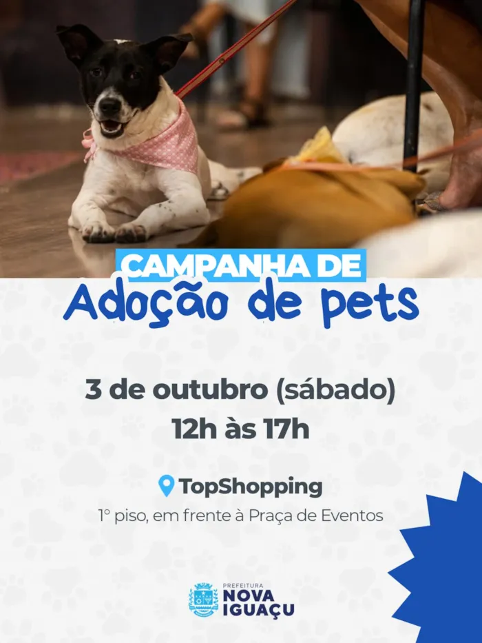 Pets aguardam adoção em Nova Iguaçu no sábado, 3 de outubro, das 12h às 17h, no TopShopping, para encontrar um lar seguro e responsável.